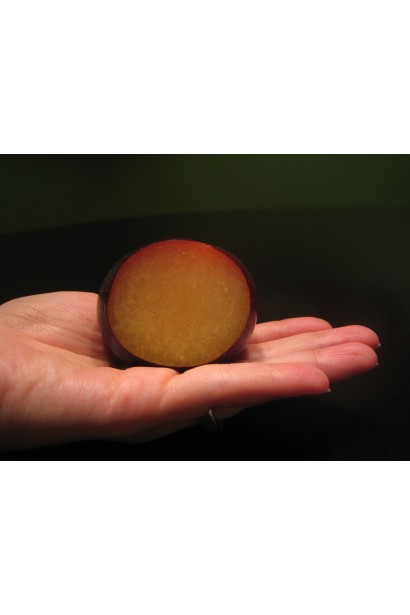 Слива Кинг Конг – водянисто-желтая мякоть